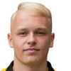 Nico Grubor