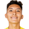 Fabian Palomino