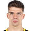 Tarik Biberovic