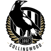 Collingwood Magpies