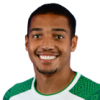 Vinicius Guedes