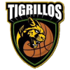 Tigrillos de Antioqui
