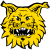 Ilves W