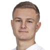 Martin Zednicek