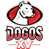 Dogos XV