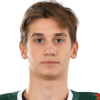 Timofei Zhulin