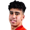 Fadel Mansour