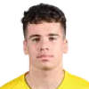 Dries Arfaoui