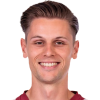 Daniel Mesenholer