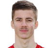 Luka Ilic