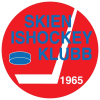 Skien