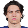 Vladimir Nikitin