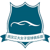 Wuhan Jiangda W