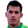 Hossein Pourhamidi