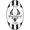 FCJ Blackbird