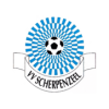 VV Scherpenzeel