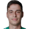 Karlo Cigrovski