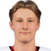 Victor Damgaard