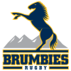 Brumbies
