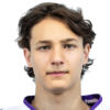 Krisztian Franyo