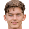 Yoel van den Ban