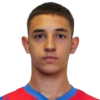 Stefan Marcetic