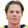 Patrick Elvsveen