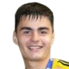 Vlad Colis