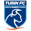 Turin FESA