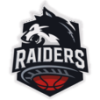 Raiders Basket
