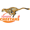 Cheetahs