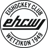 Wetzikon