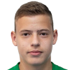 Vladyslav Krapyvtsov