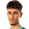 Pau Miquel