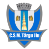 ACS Targu Jiu