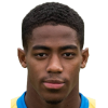 Collin Seedorf