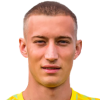 Denis Franchi