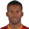 Georginio Wijnaldum