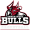Inner West Bulls