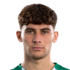 Leandro Frroku
