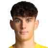 Laurenz Orgler