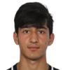 Ismayil Zulfugarli
