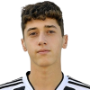 Diego Ripani