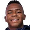 Davinson Estupinan