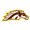 WMU Broncos