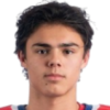 Hayden Paupanekis