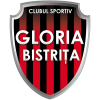 Bistrita W