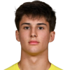 Adrian Hrvojevic