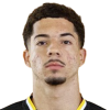 Adrianinho