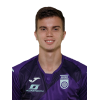 Artem Golubev